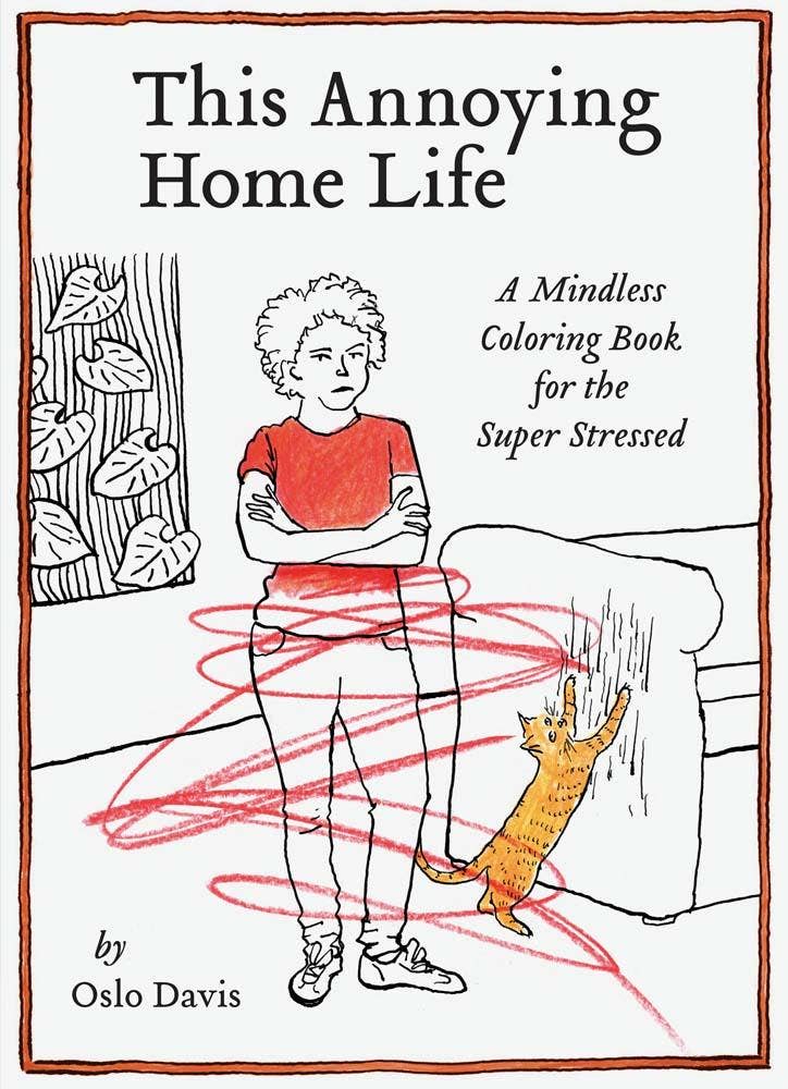 Chronicle Books - This Annoying Home Life