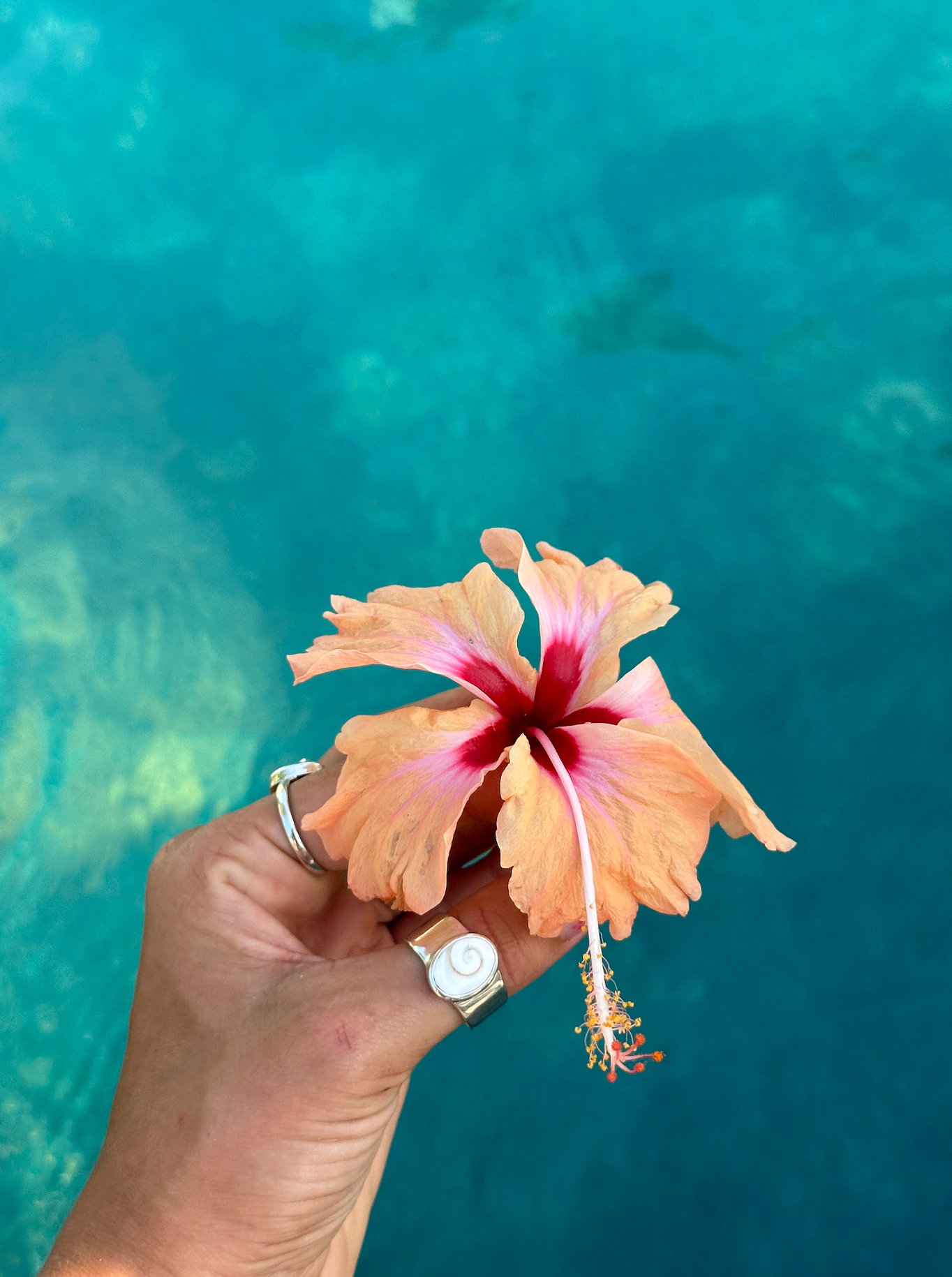 The Salty Gem - Nevaeh Ring - Shiva (Handmade)