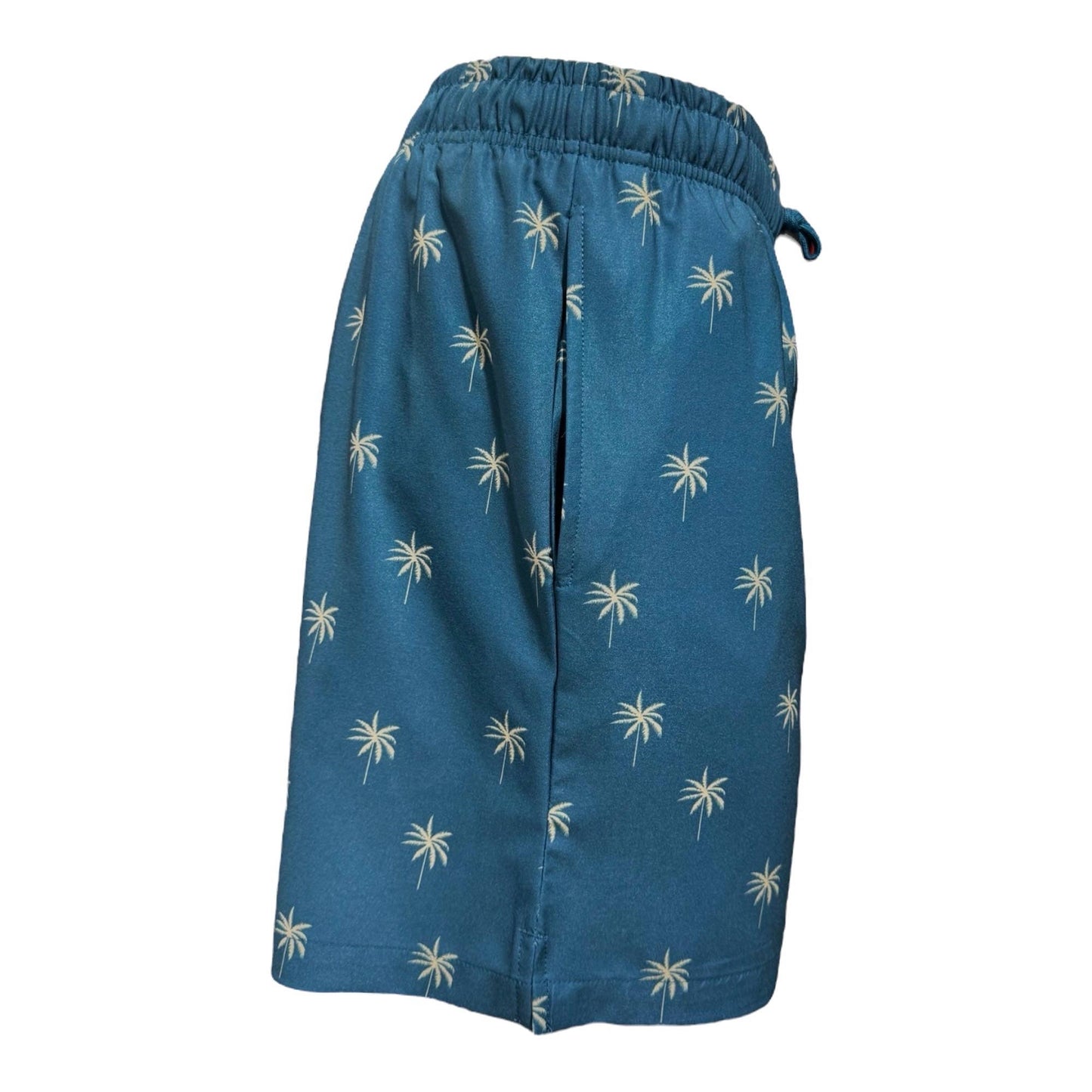 MARINA WEST SWIM - Men's Swim Short Palms on Teal