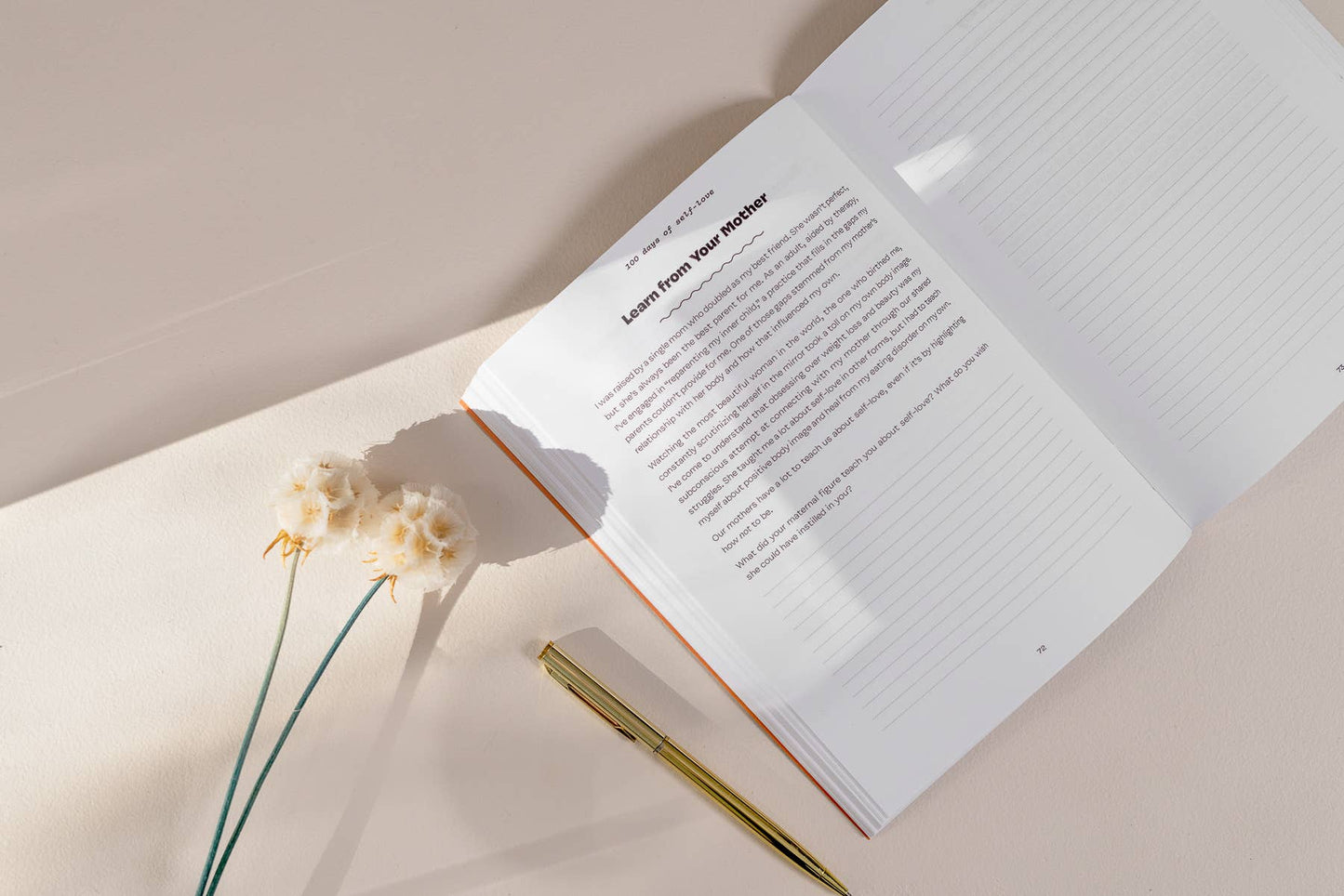Blue Star Press - 100 Days of Self-Love: Guided Self Care Journal