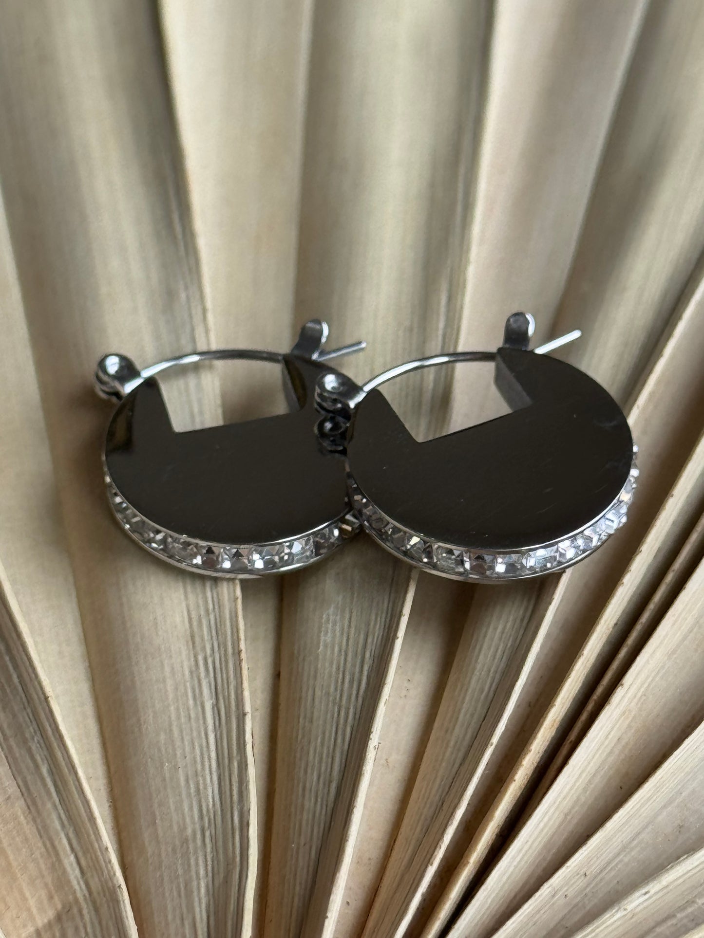 Secret Box Stainless Steel rhinestone edge earring