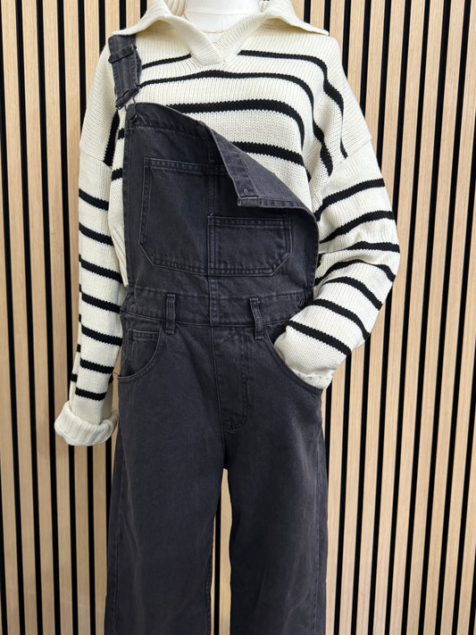 Free People Ziggy Denim Overall