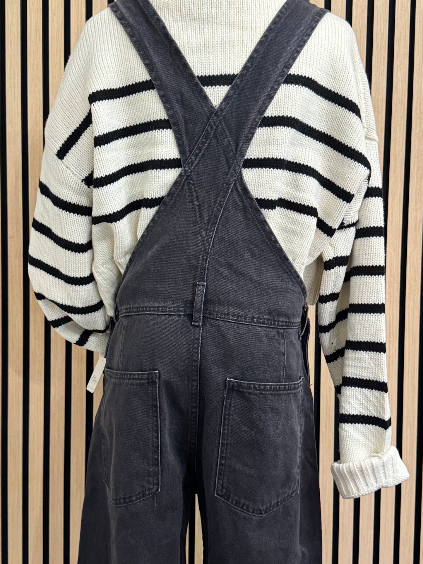 Free People Ziggy Denim Overall
