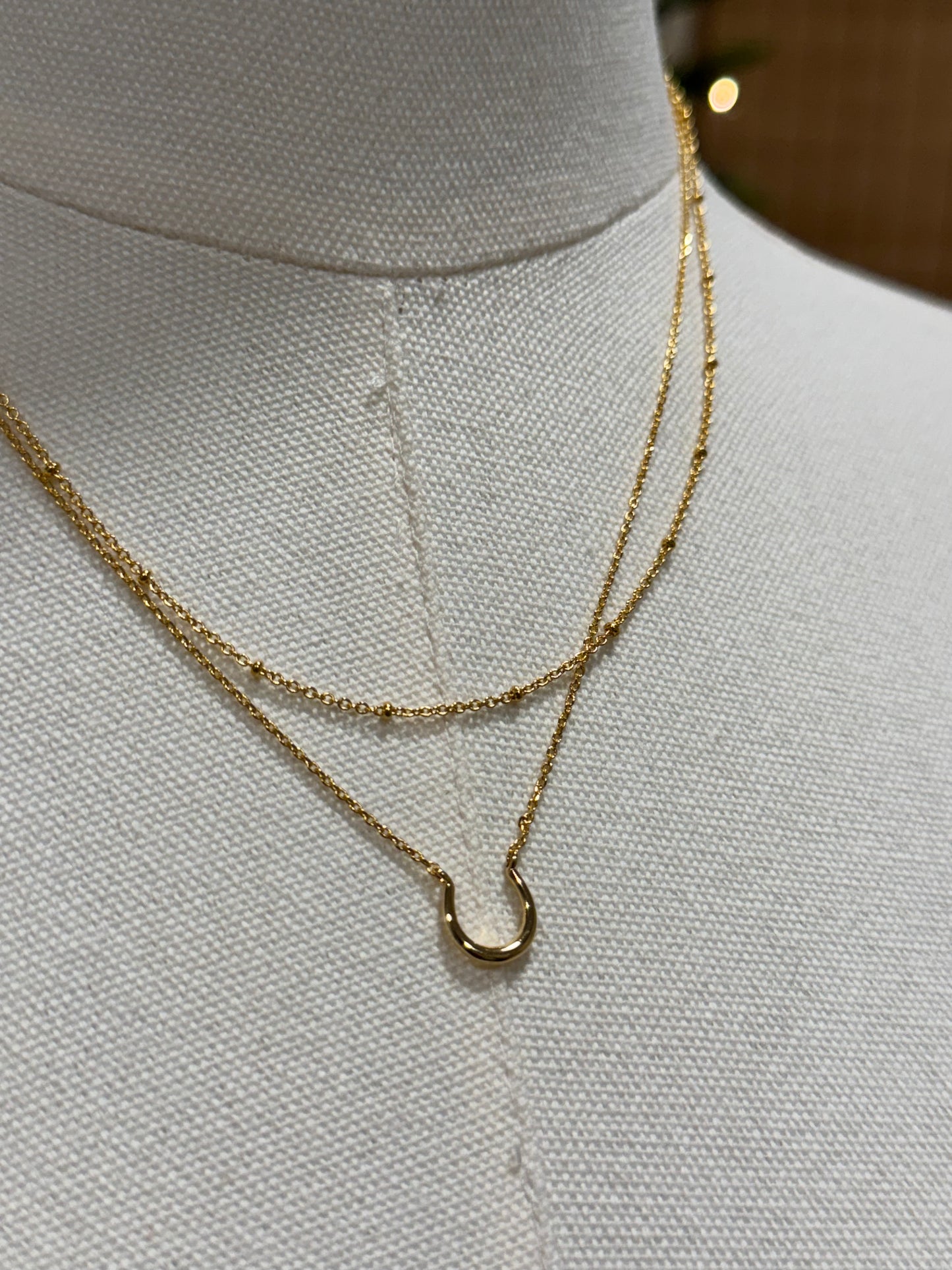 Horse shoe dainty double layer necklace